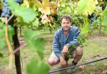 India FTA may benefit Coonawarra