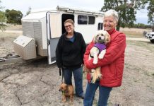 Greenrise proves popular