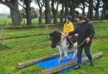 Penola Pony Club looking for helpers
