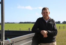 MacKillop MP calls for more