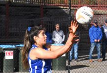 Eagles spread their wings