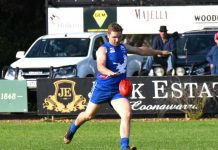 Eagles return to the nest