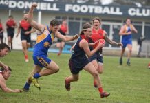 Demons too strong on home deck