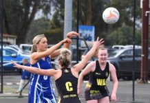 High-flying Eagles defeat Tigers