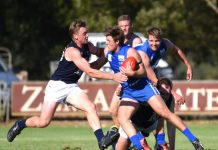 Eagles take on rampaging Roos