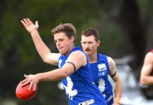 Eagles defeated on the road