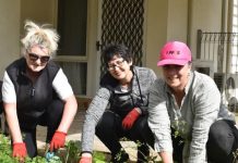 Volunteers work at the hospital grounds