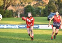 Eagles looking to soar with new signings