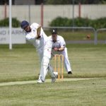 cricket_306926_02.JPG