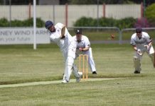 Blackcaps tear through Warriors