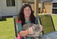 ‘Meow’ about that