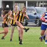 footy_325894_02.JPG