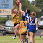 footy_325894_03.JPG