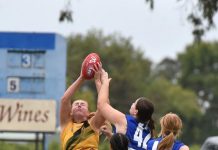 Tigers down Eagles in elimination final