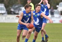 Mixed results for young Eagles