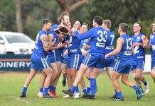 Eagles spread their wings