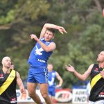 Penfooty_336806_02.JPG