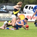 Penfooty_336806_03.JPG