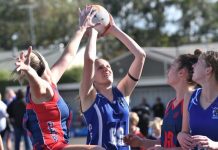 Eagles soar on home court