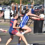 pennetball_332497_02.JPG
