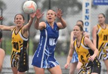 Eagles too good for Tigers