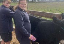 Students get hands on