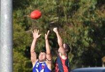 Eagles back in action