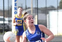 Eagles dominate on the court