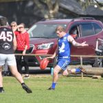 footy_357249_01.JPG