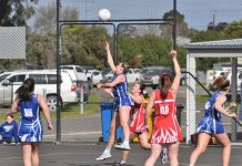 Eagles rise to the occasion