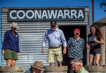 Positivity is key for 2024 vintage