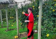 Open Garden for quinces