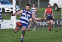 New coach has plans for Cats