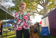 Fine pooches on show