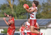 Roosters off to ideal start