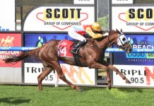 Another smart horse on the books