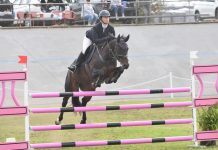 Top performances in the ring