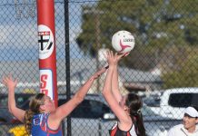 Millicent wins, Cats impress