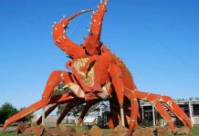 Beloved Kingston SE paper immortalised digitally