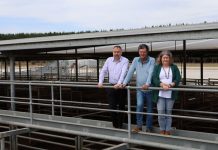 No funding for saleyards