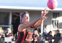 300 games for Bulldogs defender