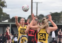 Tigers win at the Kennel