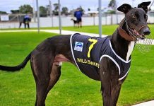 More money for the Banker