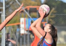 Cats on winner’s list again