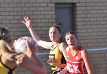 Tigers too strong for young Dees