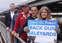 Petition launched for saleyard funding