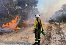 Successful prescribed burn period