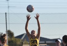 Tigers claw back deficit