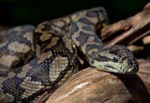 learn and have fun with Science Fair