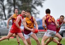 Eagles soar over Roosters